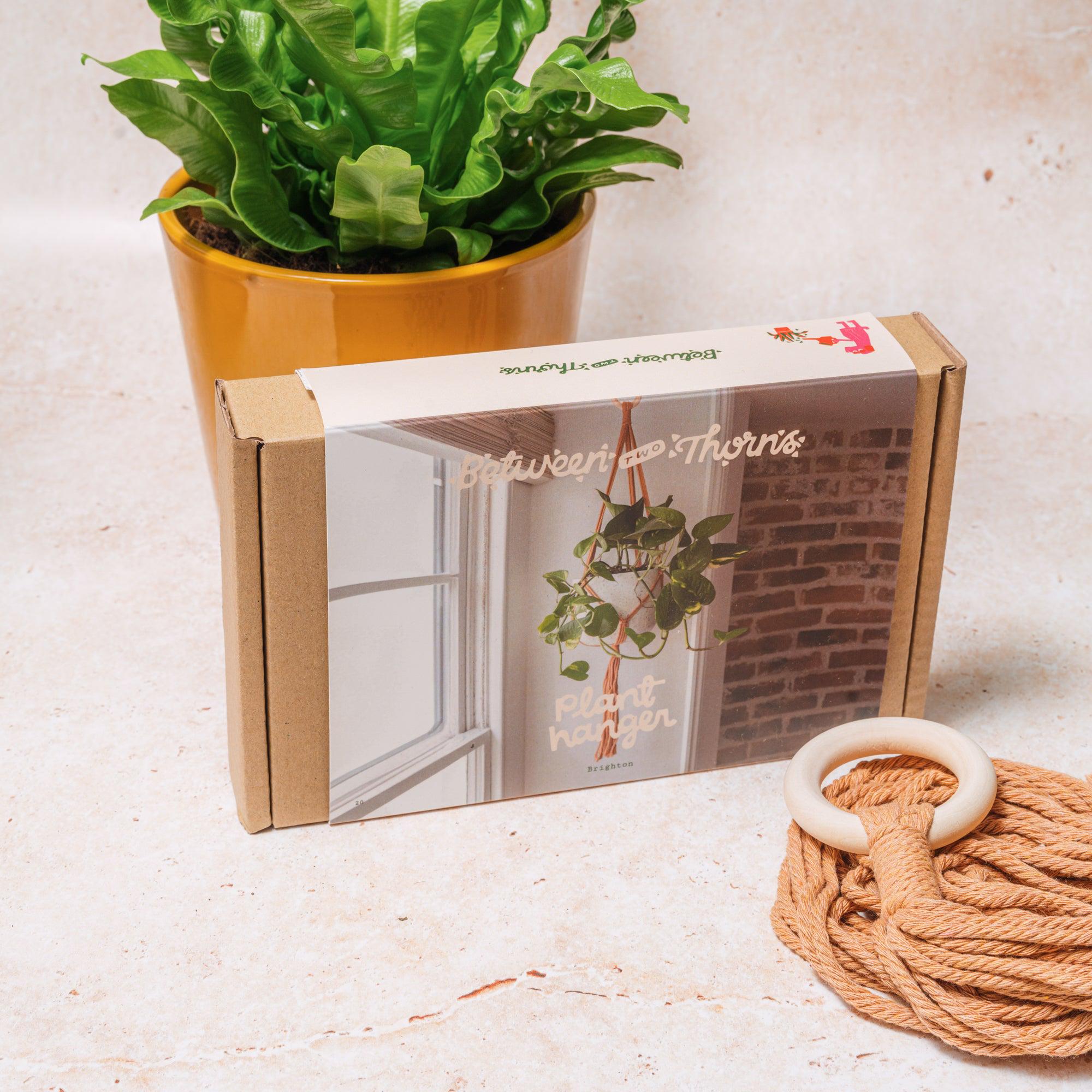 Macrame Hanger With Wooden Ring