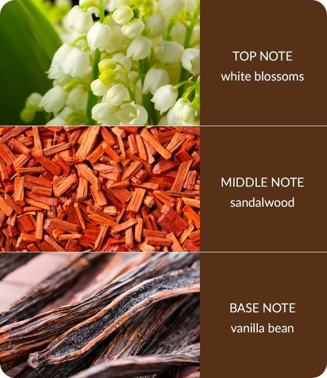 White Blossom & Sandalwood Fragrance Diffuser 70ml - Up to 12 Weeks of Fragrance