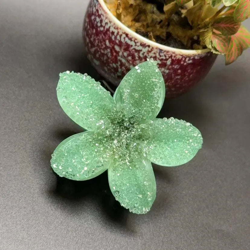 Elegant Classic Style Women's Flower Resin Hair Claws