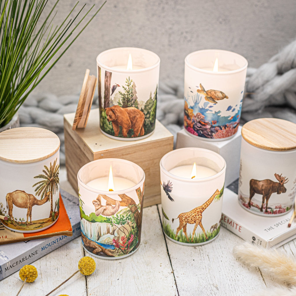 Desert Soy Scented Candle | Warming Cinnamon & Bergamot