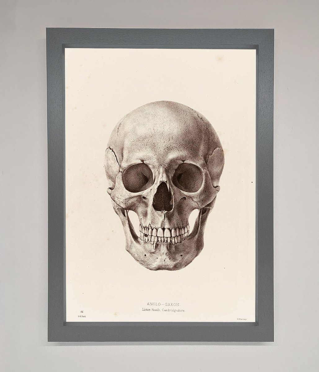 Skull Science Framed Poster - Zestio