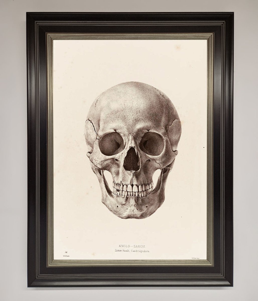 Skull Science Framed Poster - Zestio