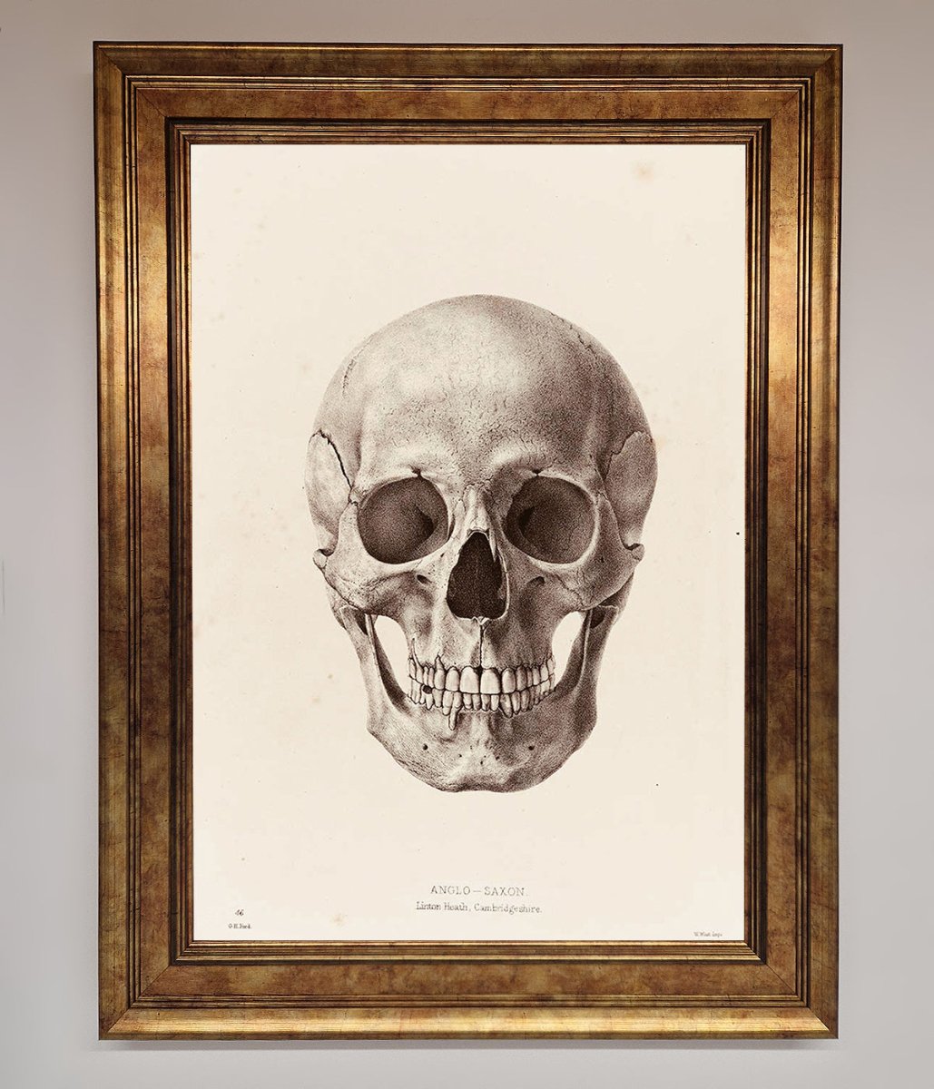 Skull Science Framed Poster - Zestio