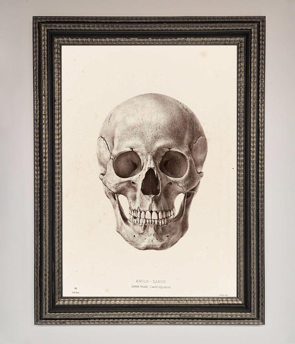 Skull Science Framed Poster - Zestio
