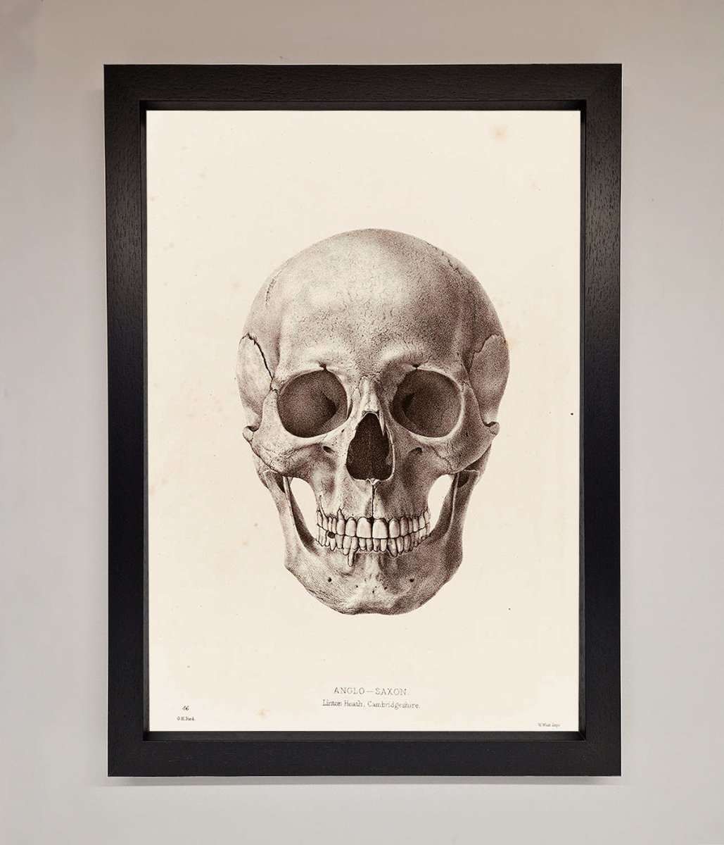 Skull Science Framed Poster - Zestio