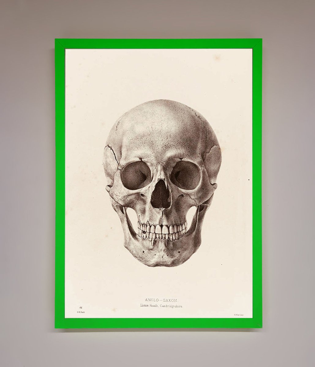 Skull Science Framed Poster - Zestio