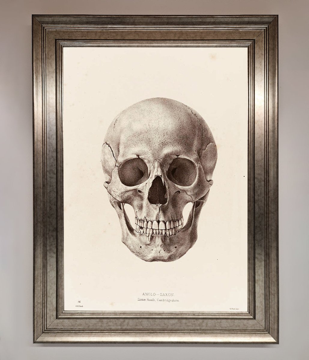 Skull Science Framed Poster - Zestio