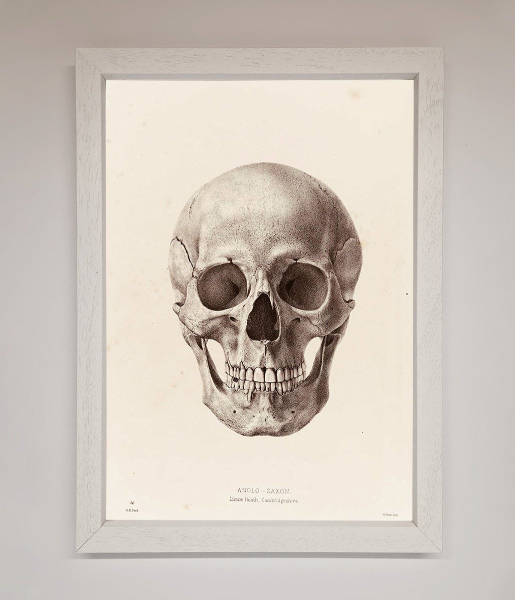 Skull Science Framed Poster - Zestio