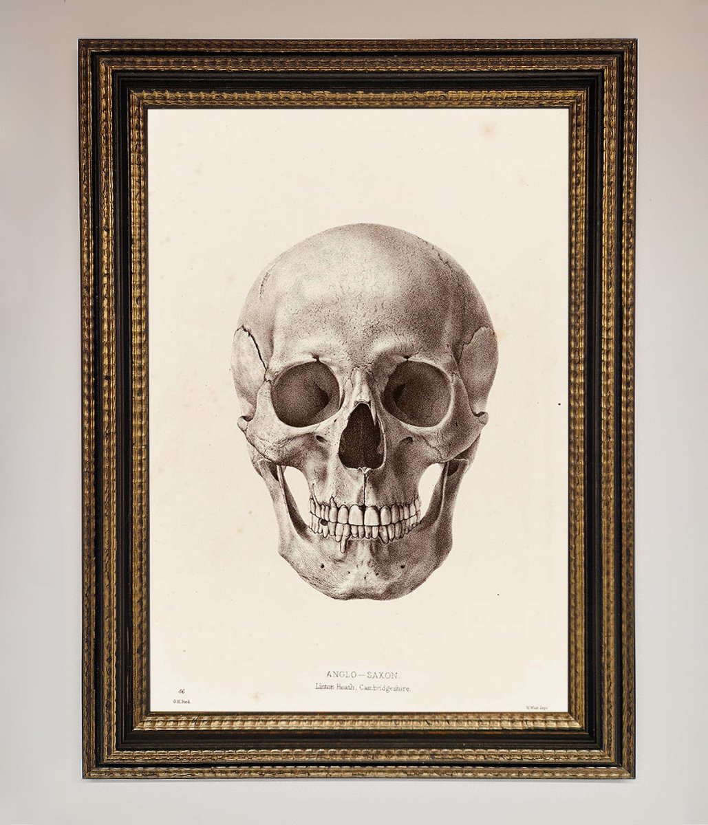 Skull Science Framed Poster - Zestio