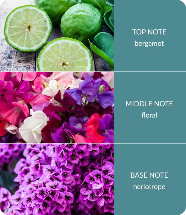 Sweet Pea Reed Diffuser - 70ml - Up to 12 Weeks of Fragrance