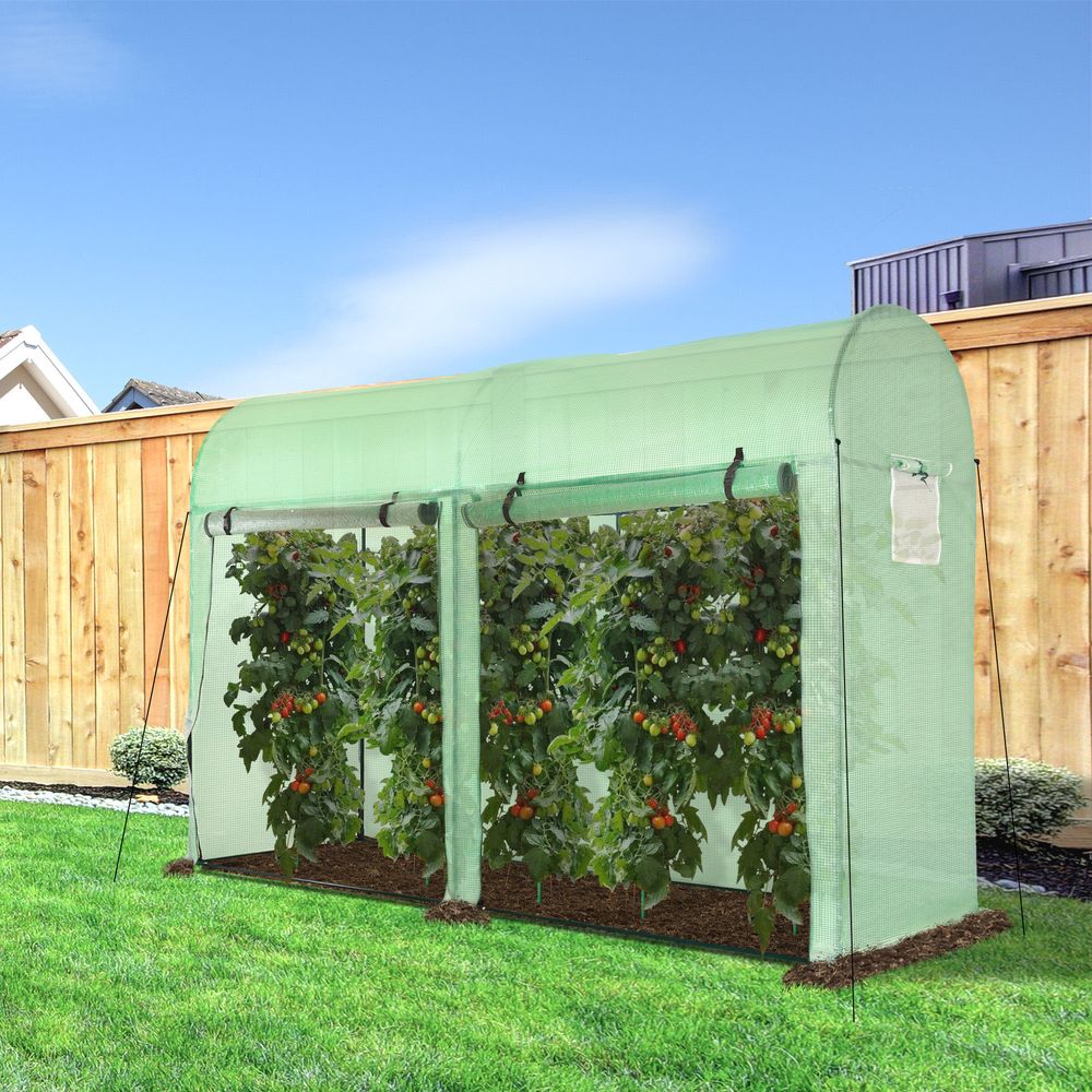 Plant Tomato Growth Greenhouse Double Doors & 4 Windows 3Lx1Wx2Hm