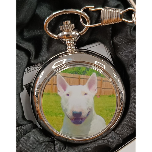 Boxx Picture Pocket watch Dog P5061.116