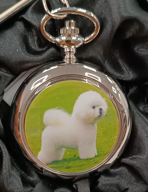 Boxx Picture Pocket watch Dog P5061.115