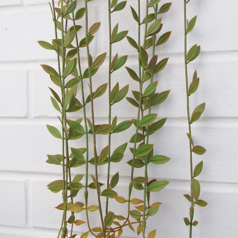 120cm Artificial Hanging Extra Long String of Pearls