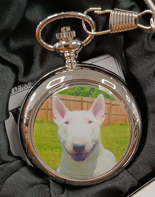 Boxx Picture Pocket watch Dog P5061.116