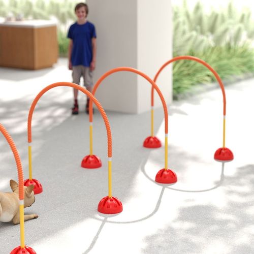 PawHut 4 Piece Dog Agility Training Equipment with Carry Bag, Orange