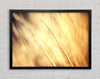 Autumn Grass Framed Wall Art