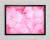 Bed Of Petals Framed Wall Art