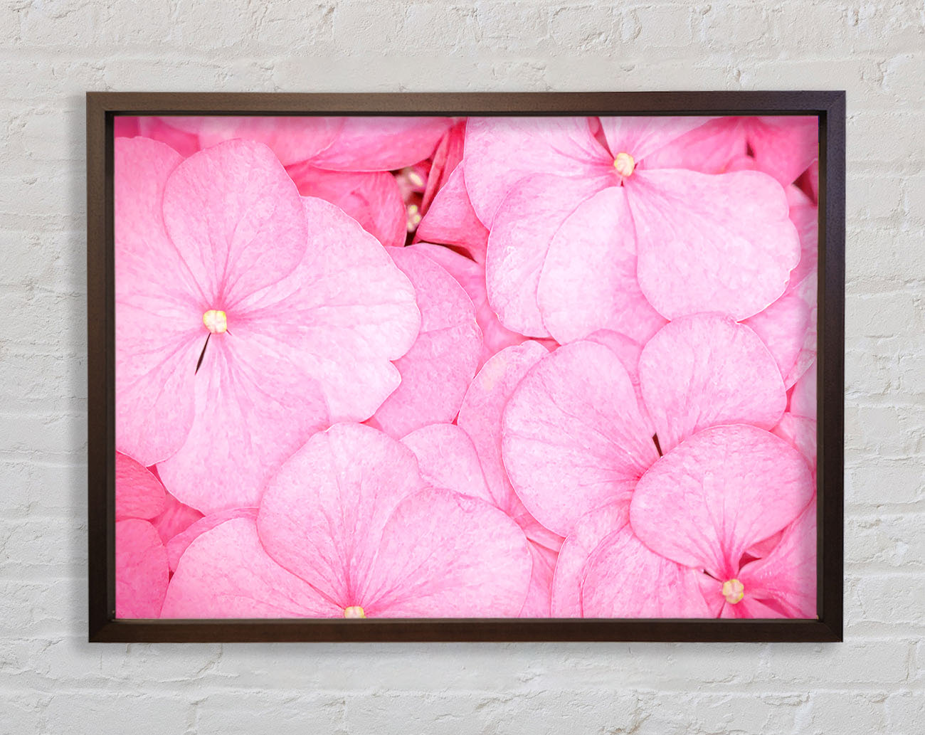 Bed Of Petals Framed Wall Art
