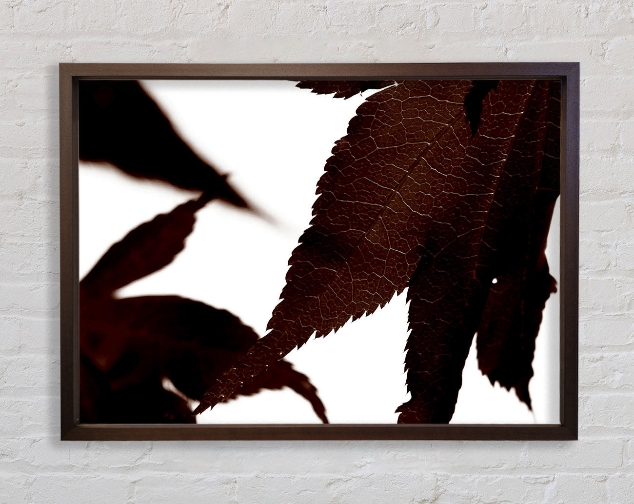 Brown Autumn Leaf Framed Wall Art
