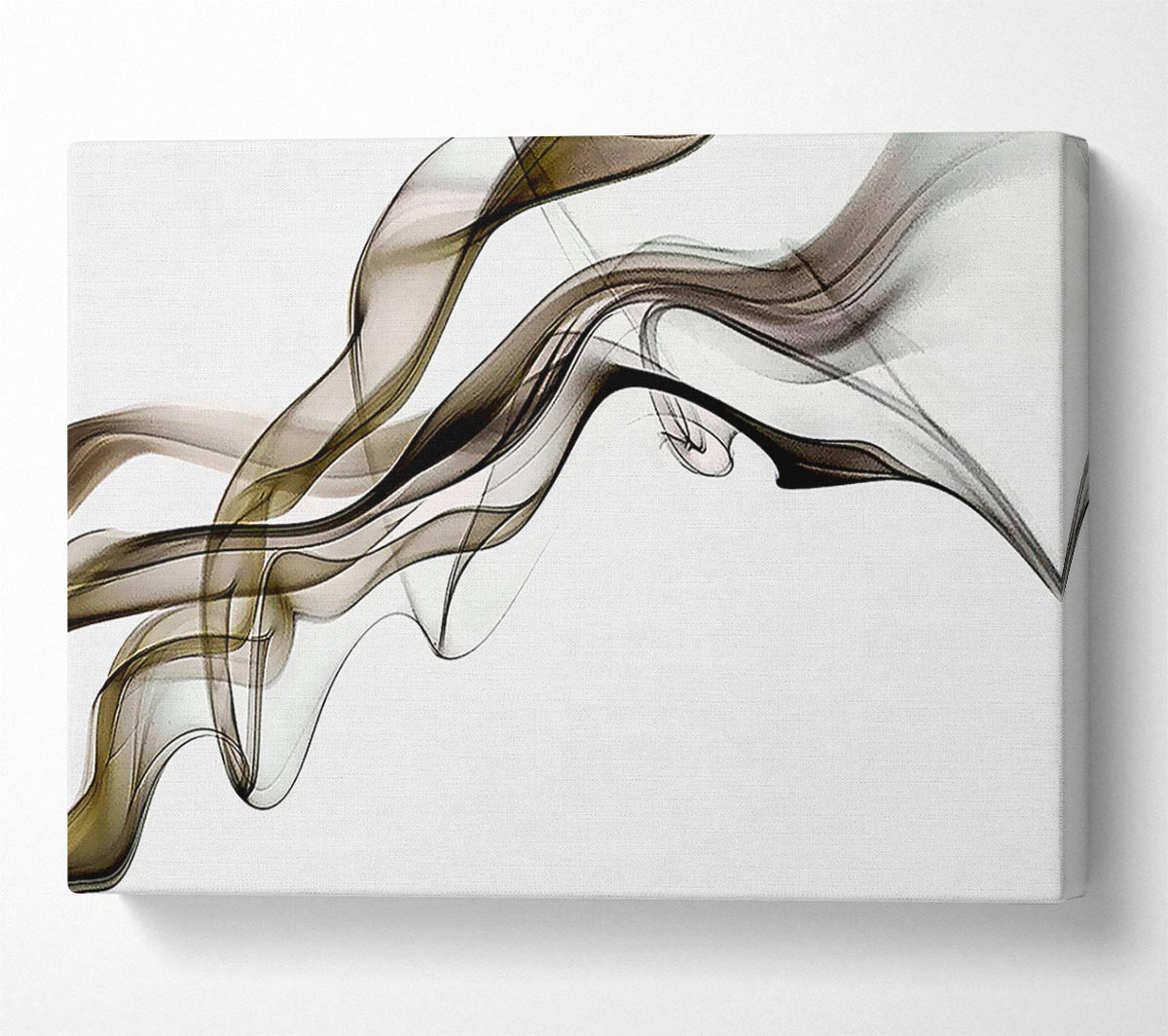 Brown Smoked Trail Canvas Wall Art