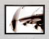 Chocolate Alien Planet Framed Wall Art