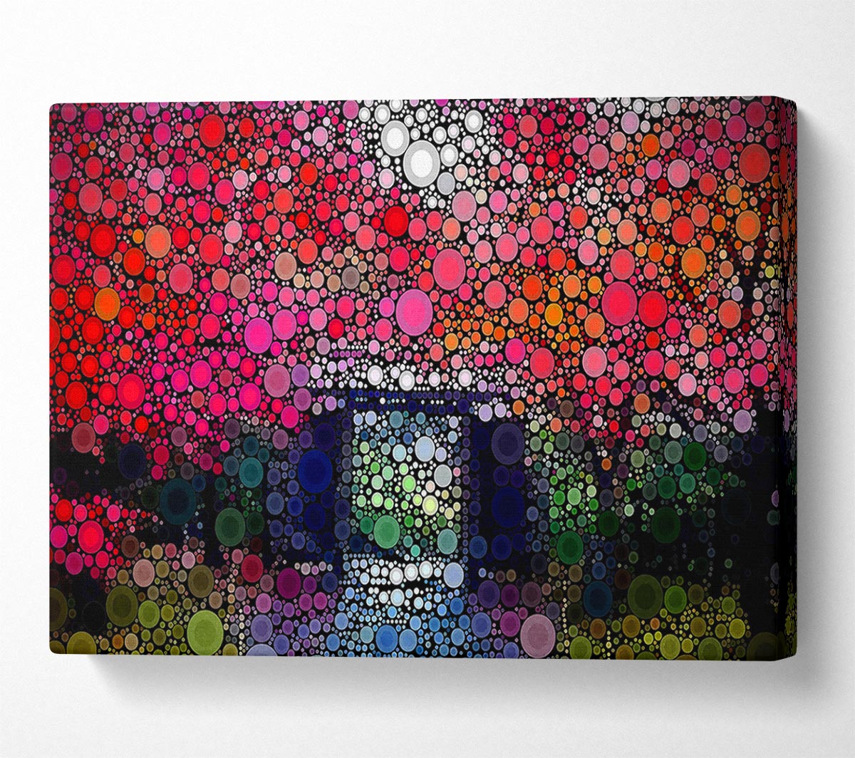 Circles In The Garden Canvas Wall Art