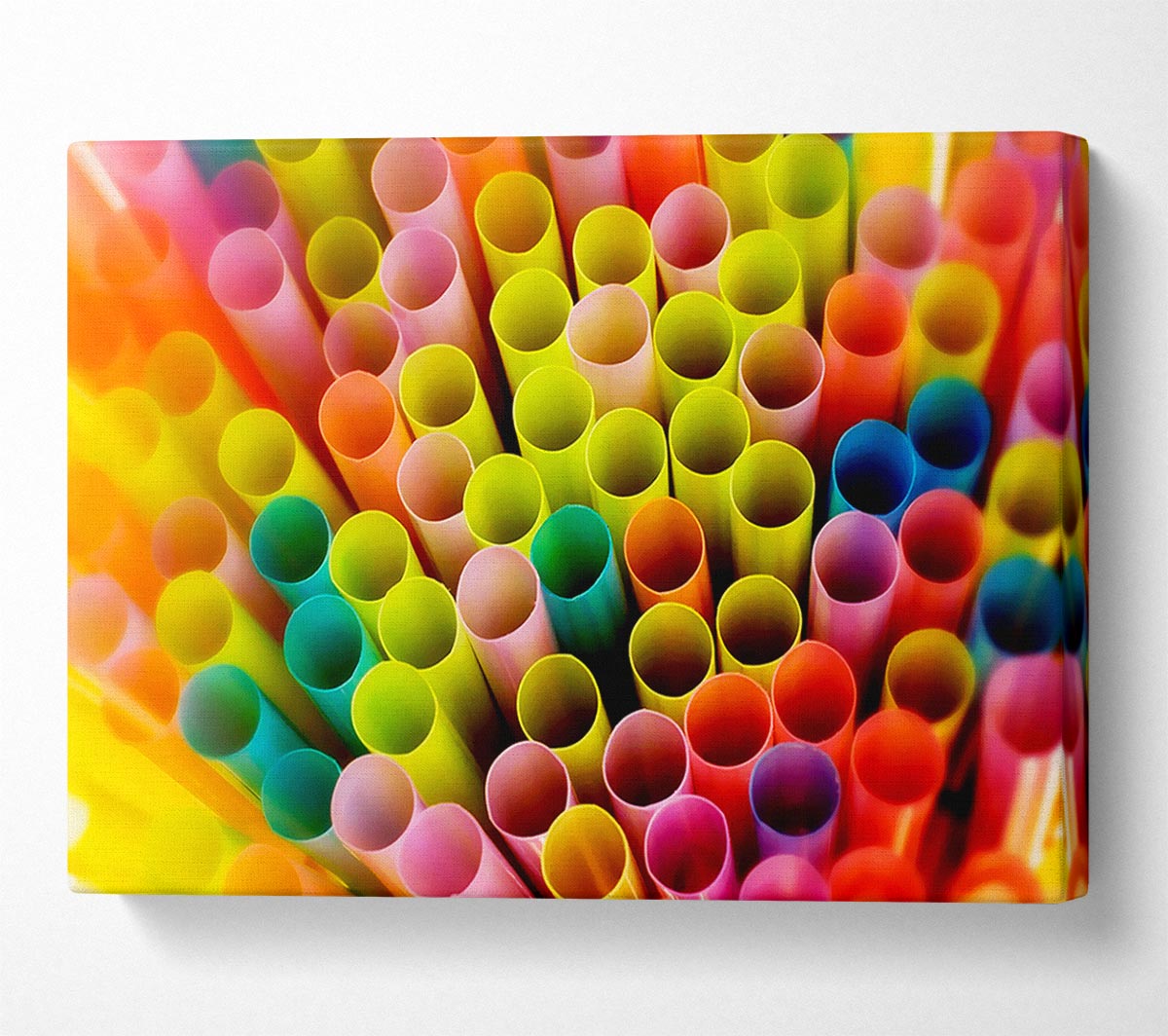 Colourful Straws Canvas Wall Art