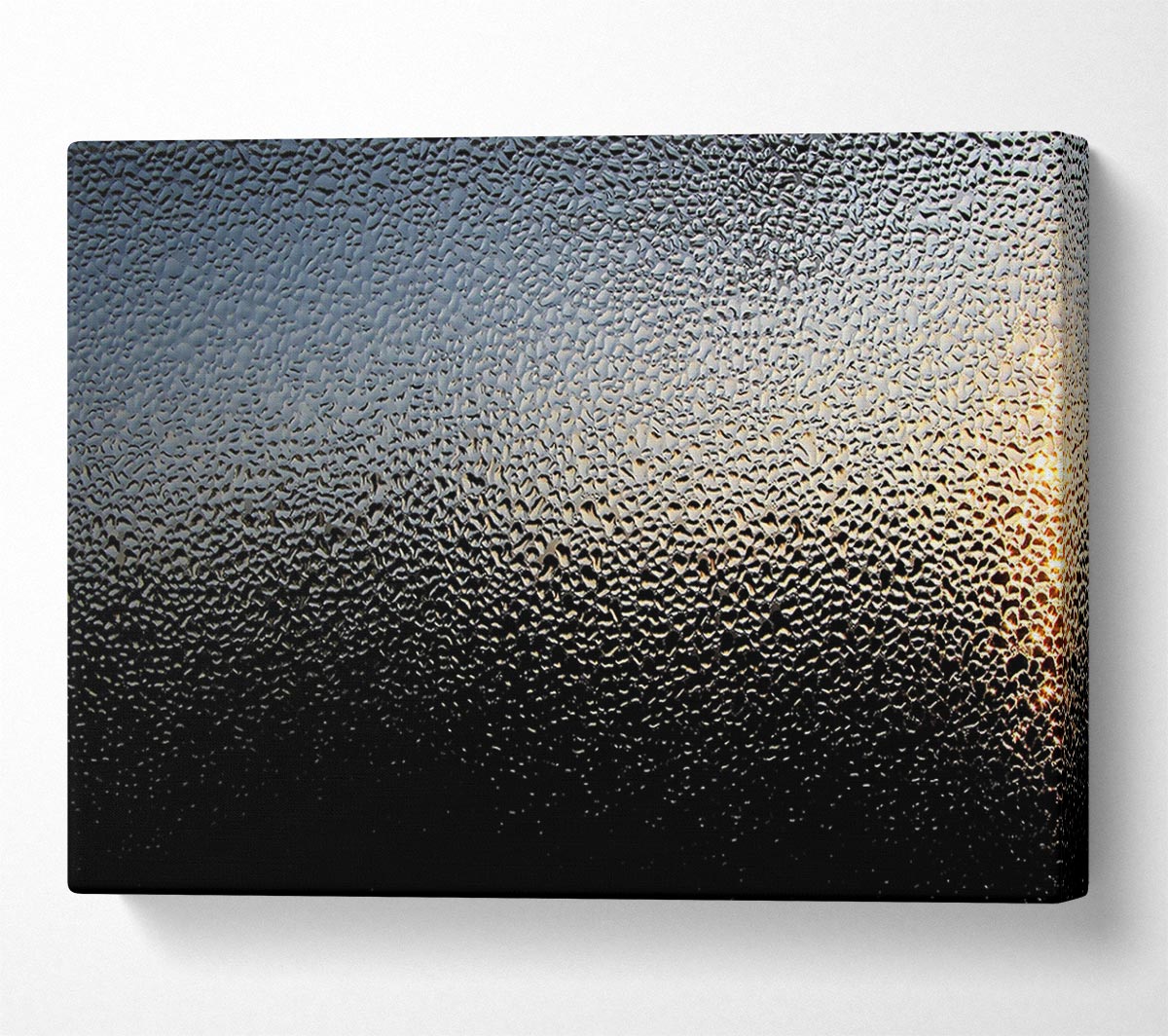Condensation Canvas Wall Art