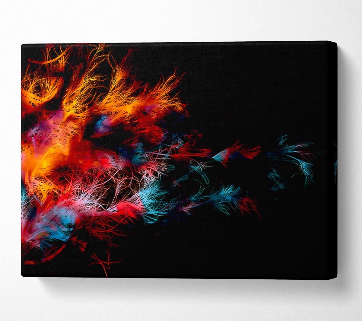 Feather Delight Canvas Wall Art