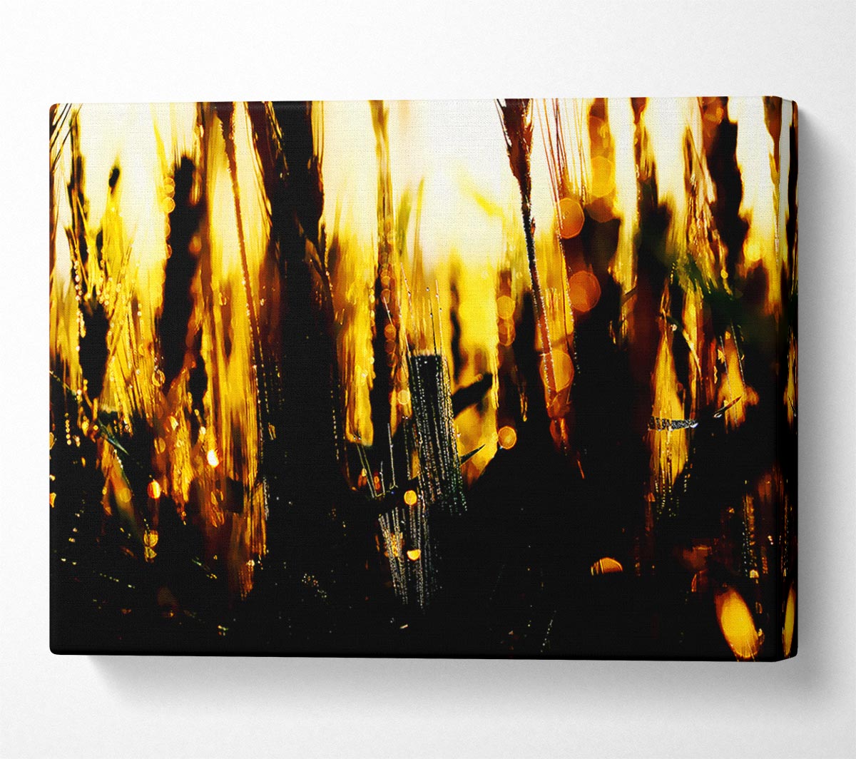Golden Wheatfield Canvas Wall Art