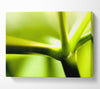 Green Stem Canvas Wall Art