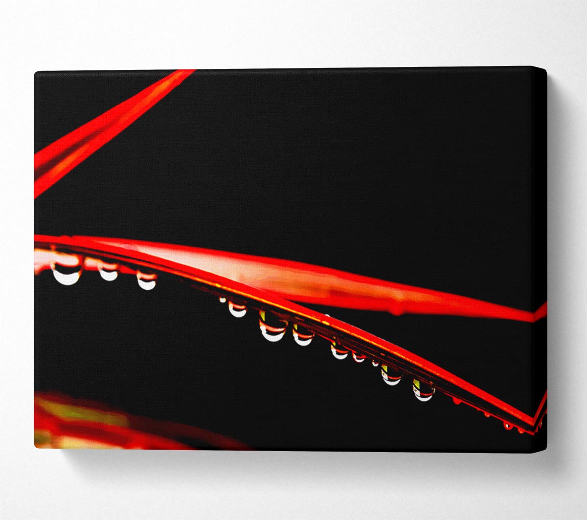 Hanging On Canvas Wall Art