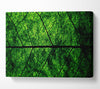 Leaf Veins Canvas Wall Art