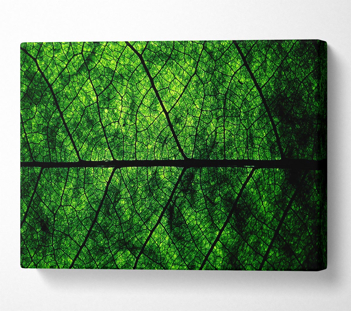 Leaf Veins Canvas Wall Art