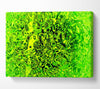 Lime Fizz Canvas Wall Art