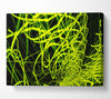 Lime Green Maze Canvas Wall Art