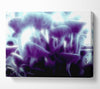 Magic Mystical Mushrooms Canvas Wall Art