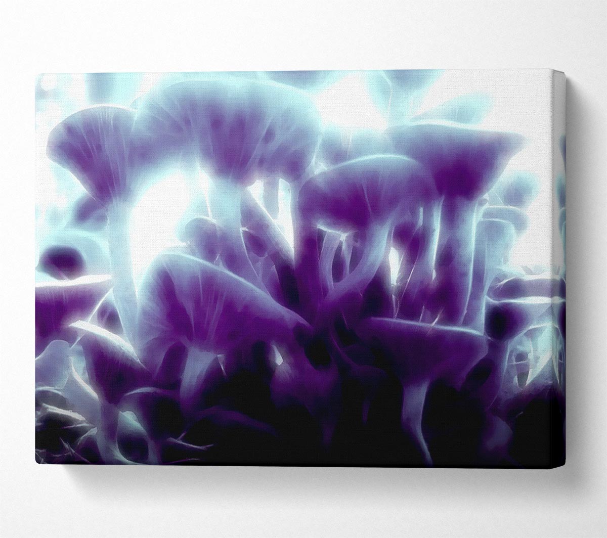 Magic Mystical Mushrooms Canvas Wall Art