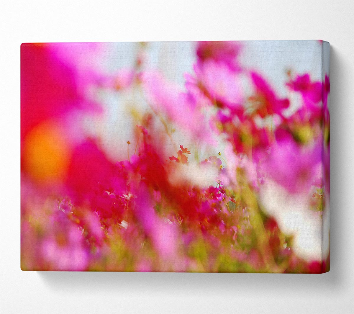 Pinkish Canvas Wall Art