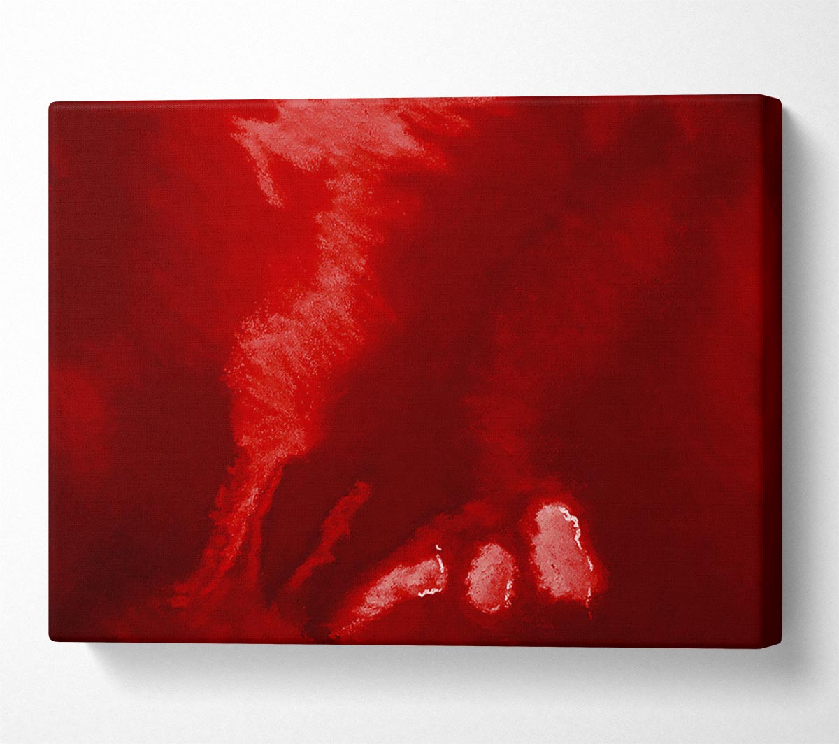 Red Shock Wave Canvas Wall Art