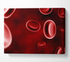 Red Spheres In Motion Canvas Wall Art