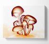 Toad Stool Canvas Wall Art