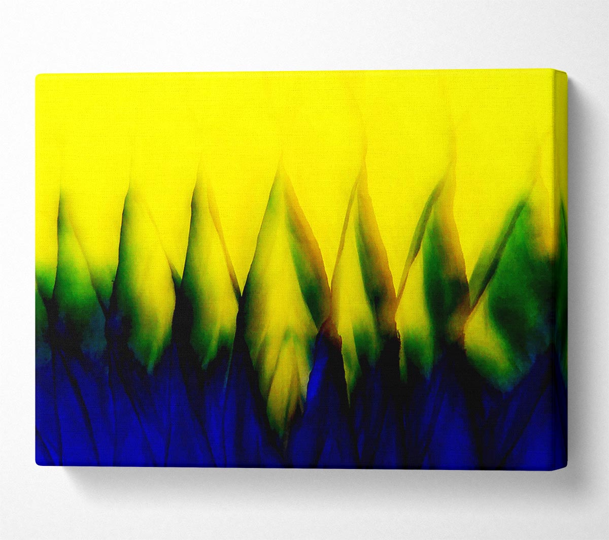 Yellow Takes Blue Canvas Wall Art