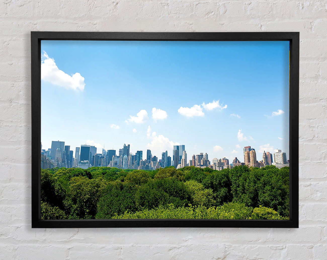 Central Park New York City Framed Wall Art