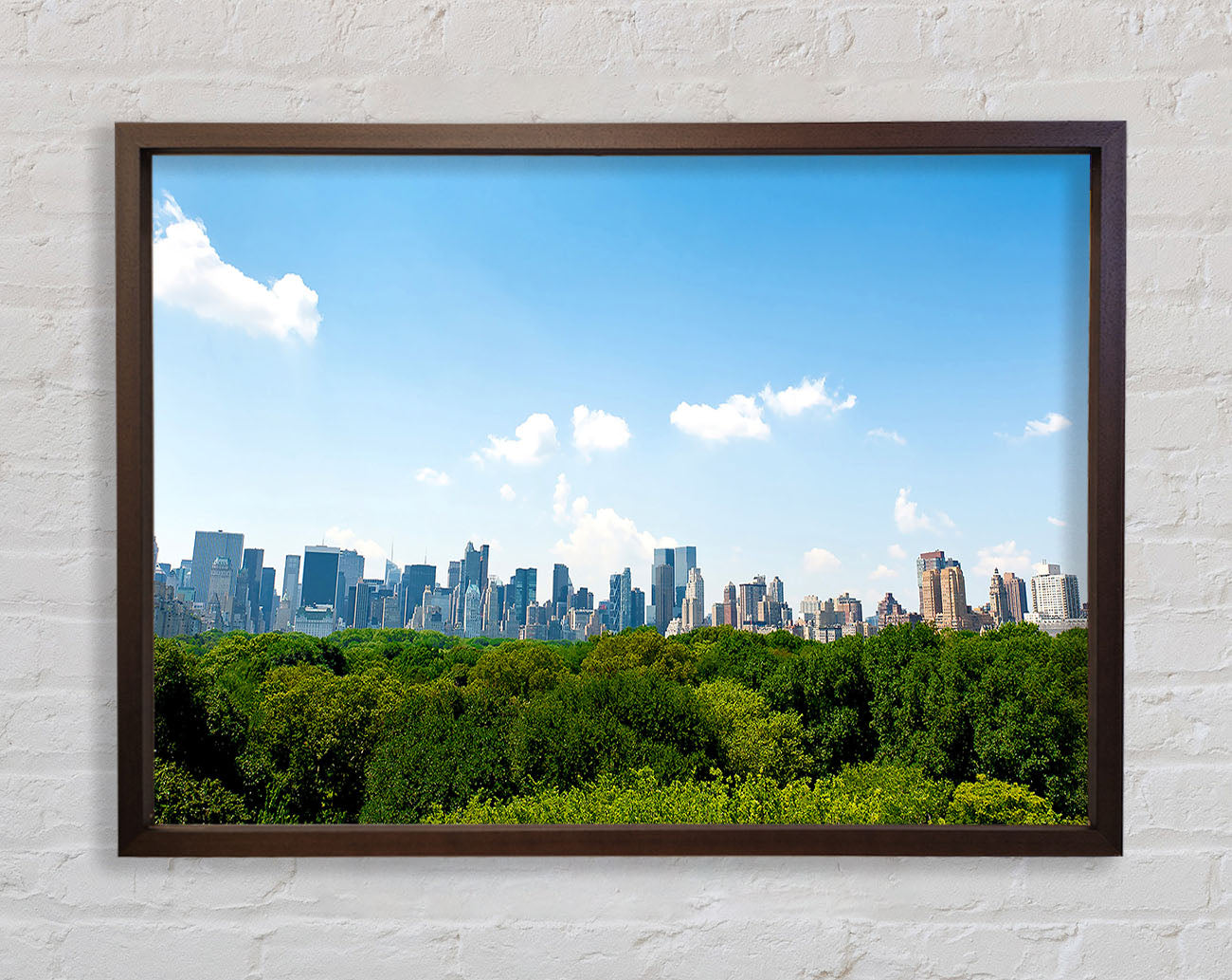 Central Park New York City Framed Wall Art