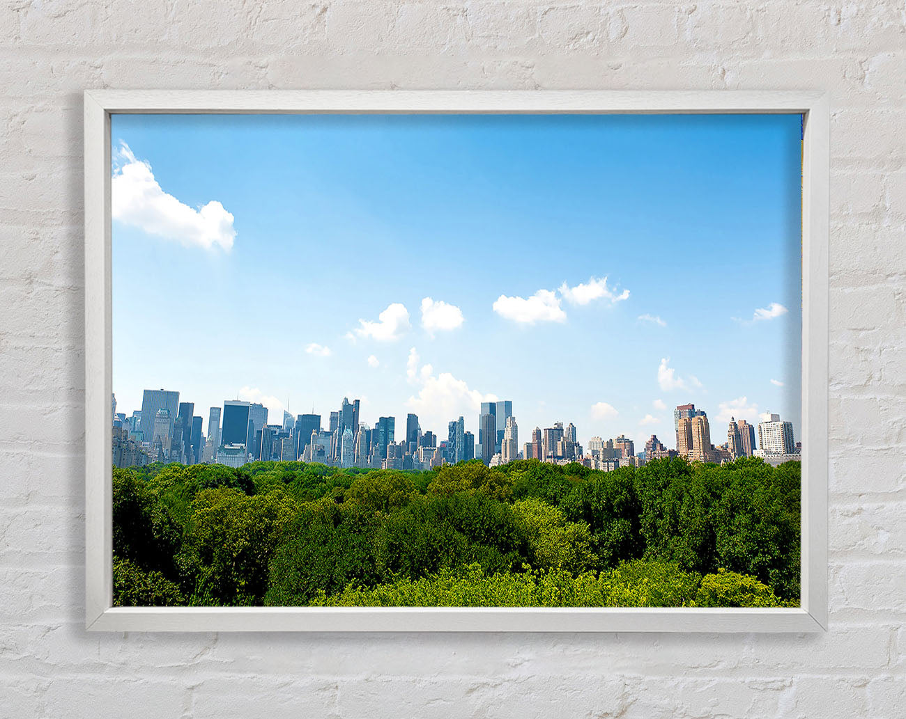 Central Park New York City Framed Wall Art