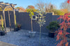 20mm Blue Slate Chippings