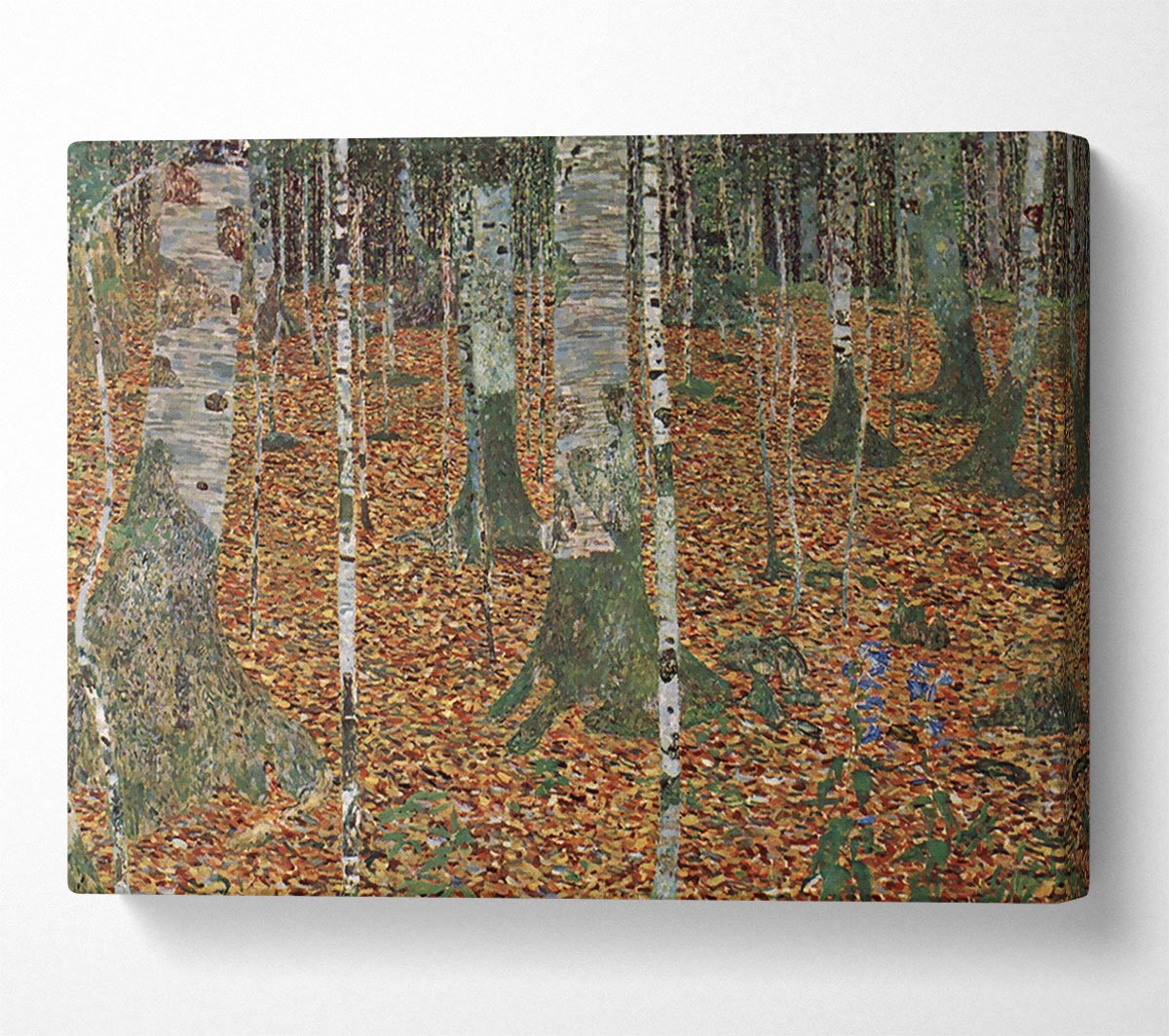 Klimt Birch Forest Canvas Wall Art