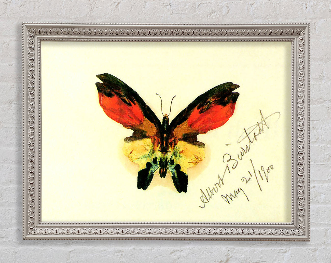 Bierstadt Butterfly 2 Framed Wall Art